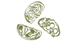 Le restaurant - Le Marché Des Délices - restaurant FIGEAC